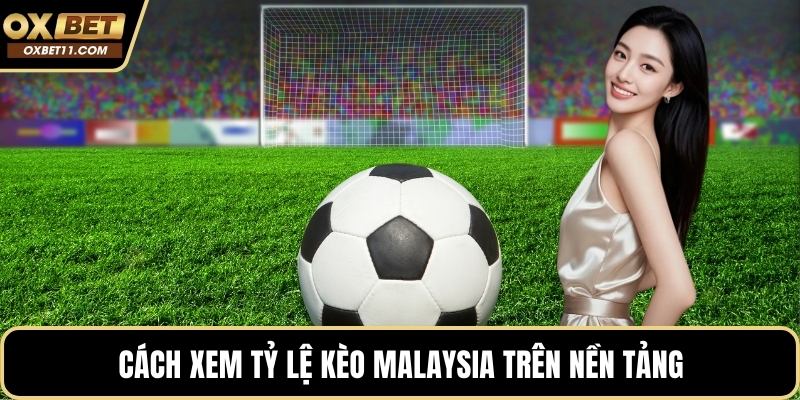 Cách xem tỷ lệ kèo Malaysia trên nền tảng