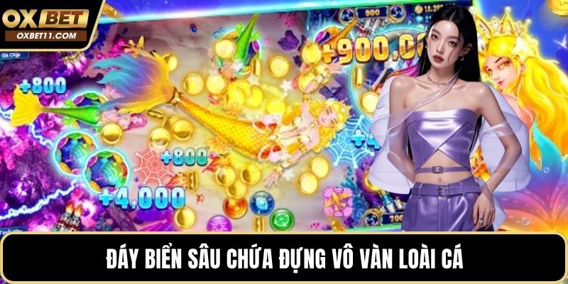 Đáy biển sâu chứa đựng vô vàn loài cá