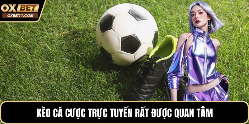 Kèo cá cược trực tuyến rất được quan tâm