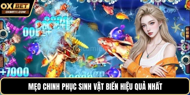 Mẹo chinh phục sinh vật biển hiệu quả nhất