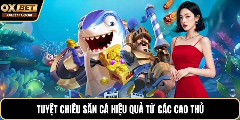 Tuyệt chiêu săn cá hiệu quả từ các cao thủ